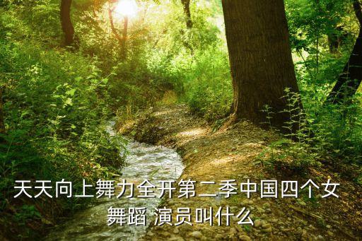 天天向上舞力全开第二季中国四个女 舞蹈 演员叫什么