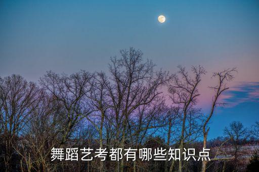  舞蹈艺考都有哪些知识点