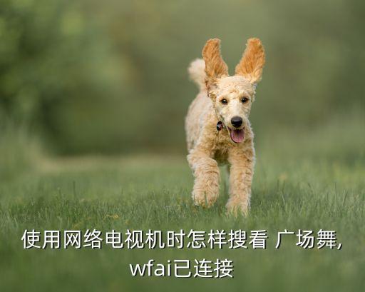 搜索舞蹈动动广场舞,动动广场舞蹈视频制作过程如何?