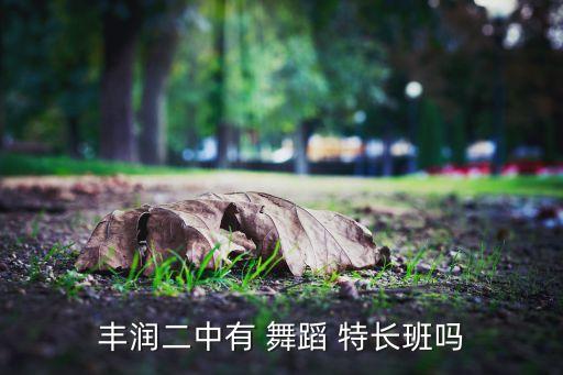 丰润二中有 舞蹈 特长班吗