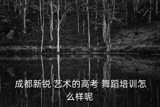  成都新锐 艺术的高考 舞蹈培训怎么样呢