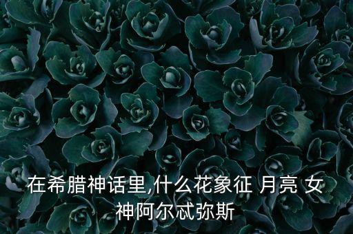 舞蹈月亮女神中三舞蹈,阿尔忒弥斯是宙斯和勒托的女儿