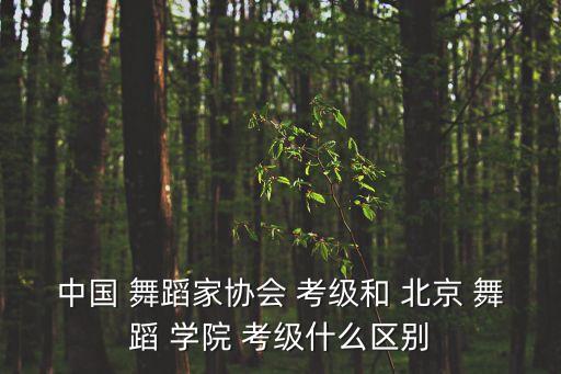中国 舞蹈家协会 考级和 北京 舞蹈 学院 考级什么区别