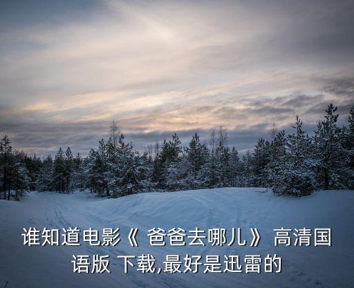谁知道电影《 爸爸去哪儿》 高清国语版 下载,最好是迅雷的