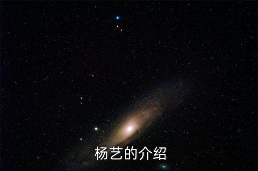  杨艺的介绍