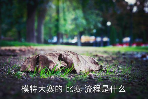 舞蹈选拔赛比赛流程,舞蹈艺考流程如下