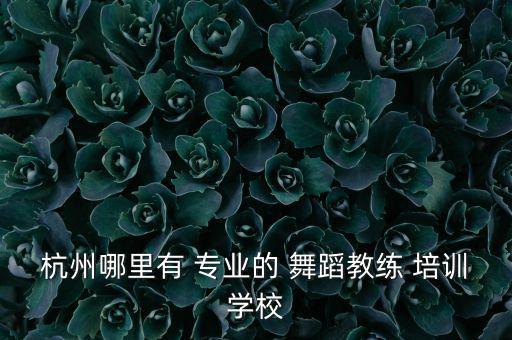 杭州哪里有 专业的 舞蹈教练 培训学校