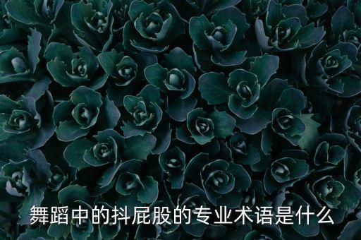 舞蹈中抠胯是什么意思,舞蹈是否符合人类基因?