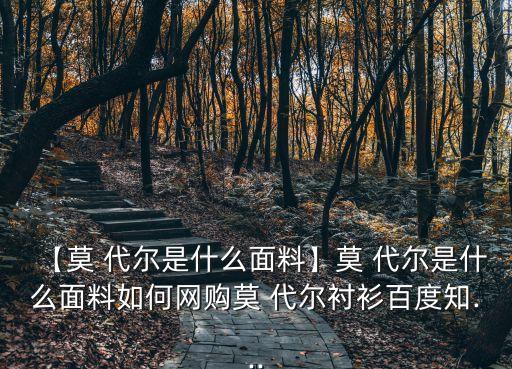 莫代尔舞蹈服装上衣,蓝晶公司推出mo代尔服装配件吸引顾客