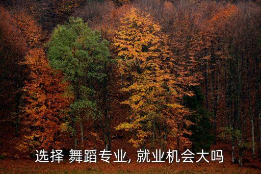 选择 舞蹈专业, 就业机会大吗
