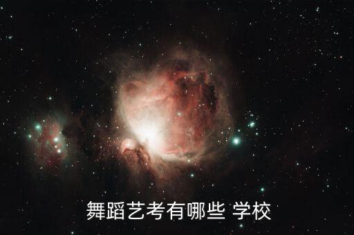  舞蹈艺考有哪些 学校