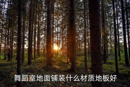  舞蹈室地面铺装什么材质地板好