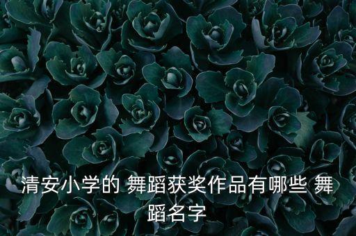 清安小学的 舞蹈获奖作品有哪些 舞蹈名字