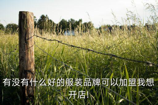 有加盟舞蹈服装店的吗,如何加入一个服装店?