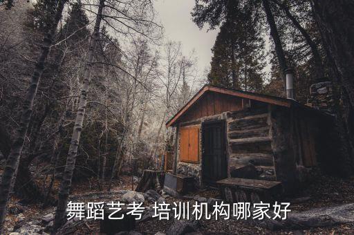 舞蹈培训招牌,选择较大的舞蹈培训学习效果显著提高