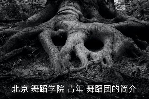 北京 舞蹈学院 青年 舞蹈团的简介
