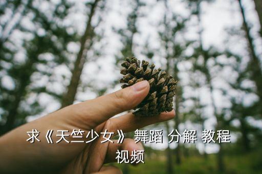 求《天竺少女》 舞蹈 分解 教程 视频