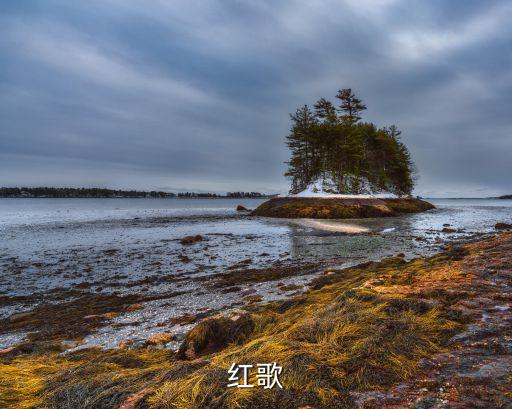 红歌