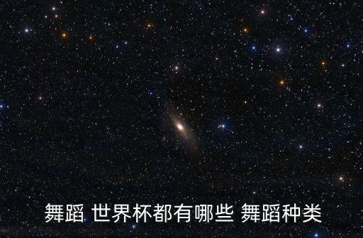 舞蹈世界往期2015,王紫绮获奖经历