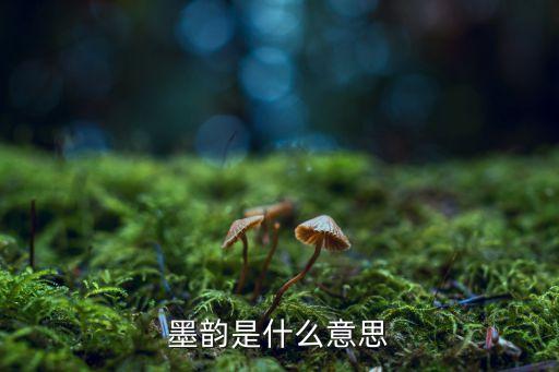 《水墨书韵》舞蹈,墨韵中国画展:以舞出水墨丹青表现艺术