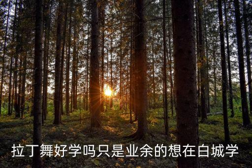 拉丁舞好学吗只是业余的想在白城学