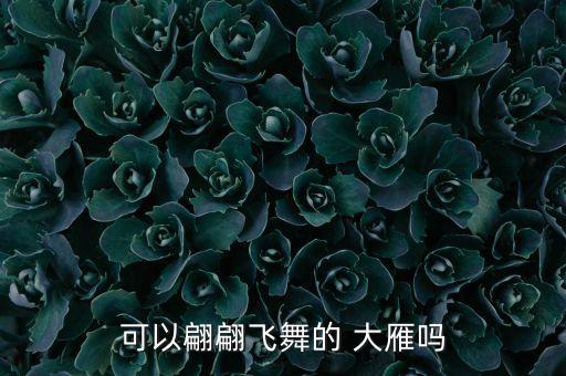 九级舞蹈大雁.,大雁会飞吗?第二集:《惊鸿之舞》