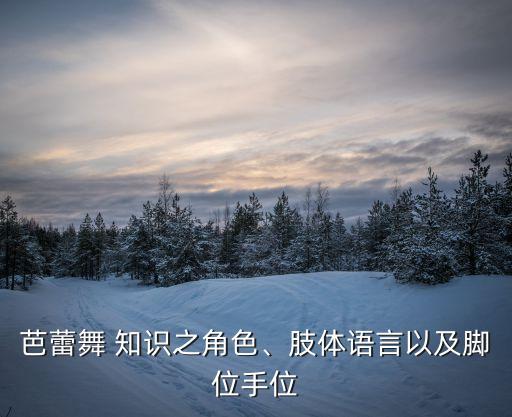 芭蕾舞 知识之角色、肢体语言以及脚位手位