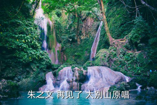 舞蹈再见大别山,第二集:再见，大别山