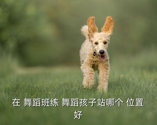 在 舞蹈班练 舞蹈孩子站哪个 位置好