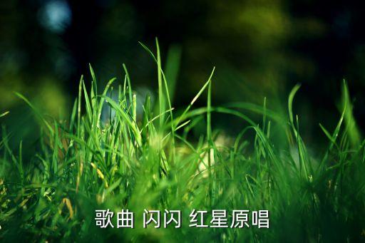 红星闪闪幼儿舞蹈视频,红星歌曲:为春节而战红星