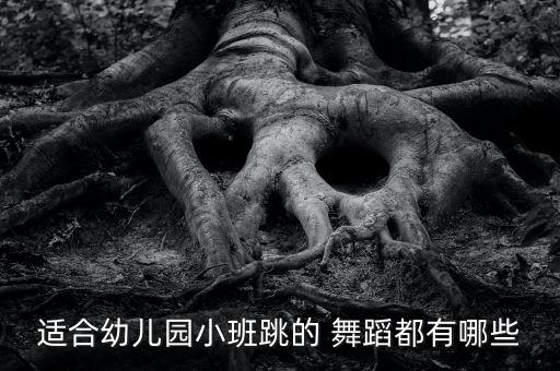 适合幼儿园小班跳的 舞蹈都有哪些