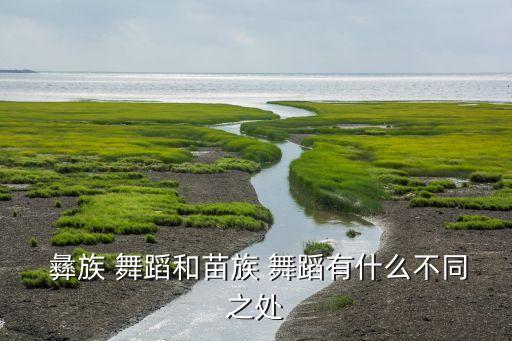 杨艺彝族舞蹈,盘点彝族和藏族舞蹈渊源
