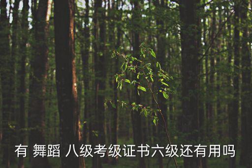 有 舞蹈 八级考级证书六级还有用吗