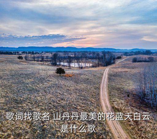 舞蹈山丹丹开花红艳艳双人舞,大发展啊山丹dan开花红艳艳