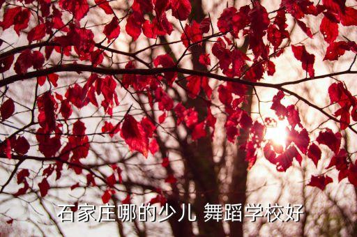 石家庄舞蹈集训,五岳儿女舞蹈学校:位于河北裕华区