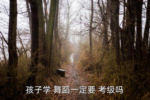 孩子学 舞蹈一定要 考级吗