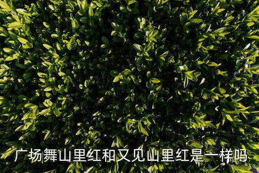 秋天广场舞大中国舞蹈视频,跳舞前先热身运动什么都不怕?