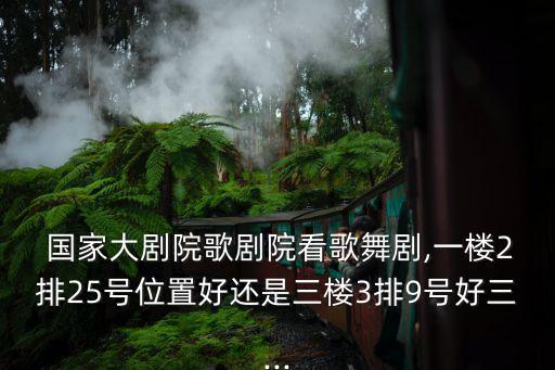  国家大剧院歌剧院看歌舞剧,一楼2排25号位置好还是三楼3排9号好三...