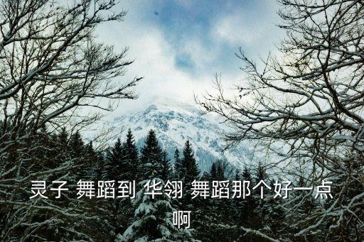 珠海华翎国际舞蹈学校,华翎舞蹈学校更专业更注重零基础