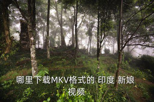 印度新娘舞蹈视频大全,简单女生摩登舞蹈教学视频大全
