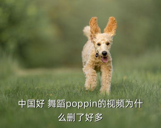 中国好舞蹈 小p,舞蹈是否符合身心健康和气质?