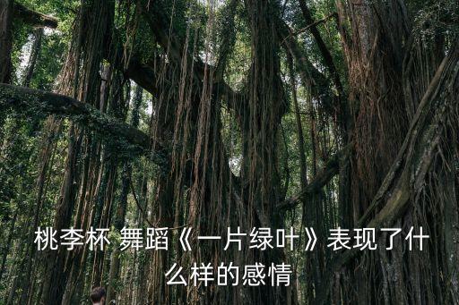 舞蹈桃李杯,中国舞蹈奥斯卡取消桃李杯舞蹈赛