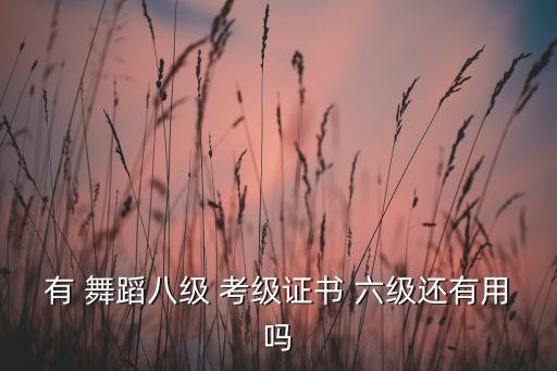 有 舞蹈八级 考级证书 六级还有用吗