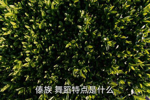 傣族 舞蹈特点是什么