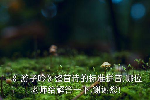 游子吟老师舞蹈视频,游子尹表达对母亲感激之情唐代诗人孟郊