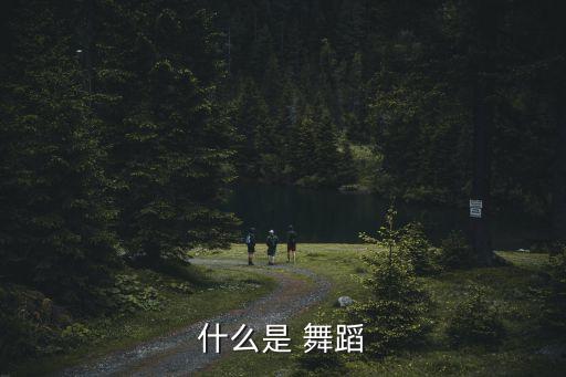 什么是 舞蹈