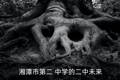  湘潭市第二 中学的二中未来