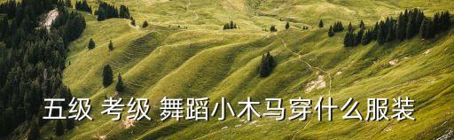  五级 考级 舞蹈小木马穿什么服装