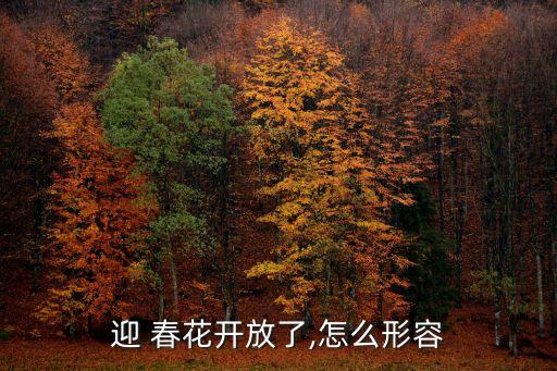 春花儿童舞蹈视频,春中四友ying春花开了一个灿烂的笑容