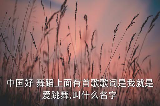 中国好 舞蹈上面有首歌歌词是我就是爱跳舞,叫什么名字